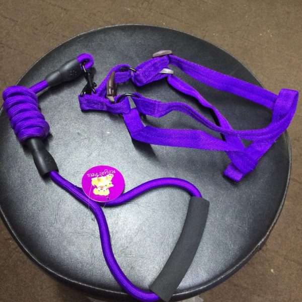 Puppy harness with leash