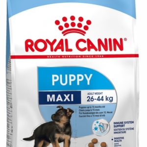Royal Canin Maxi puppy