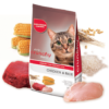 CRUNCHY Adult Cat Food 4 kg