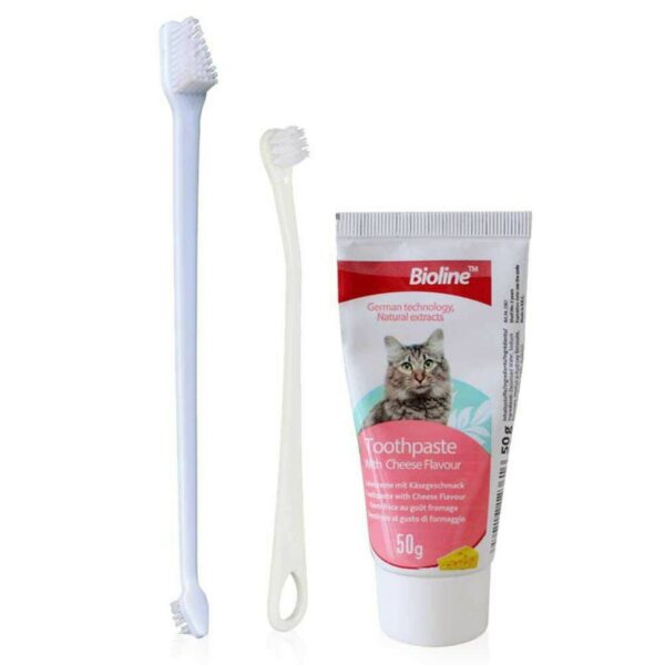 Dental Hygiene set for Cats